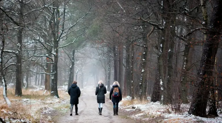 Wandelaars bos Harderwijk winter