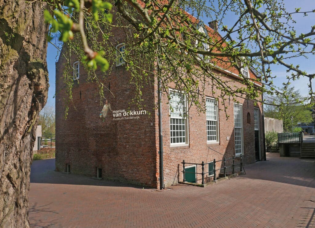 MariusvDokkum Museum buiten