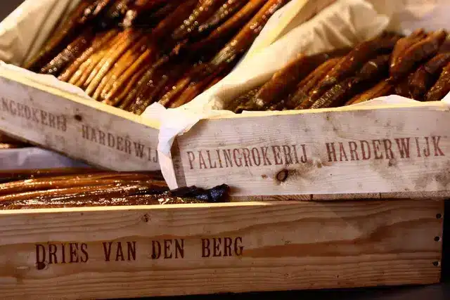 Vishandel en palingrokerij dries van den berg