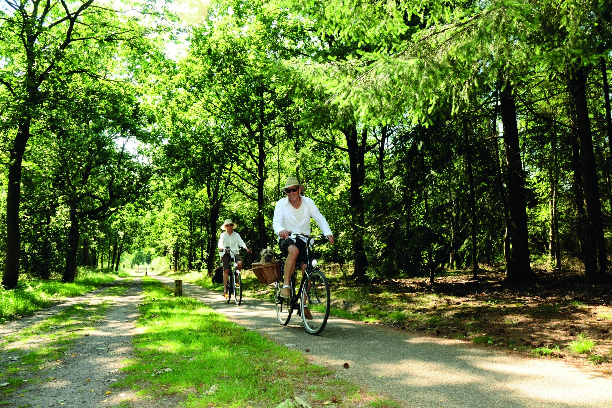 02 Fietsen in het bos Harderwijk